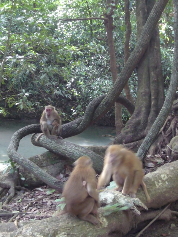 Travel - Thailand - Kanchanaburi - National Park